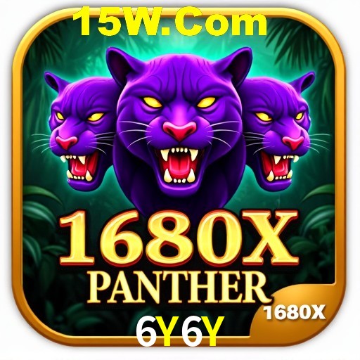 Interface Premium 6Y6Y